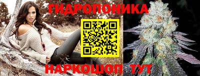 спиды Моздок