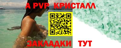 спиды Моздок