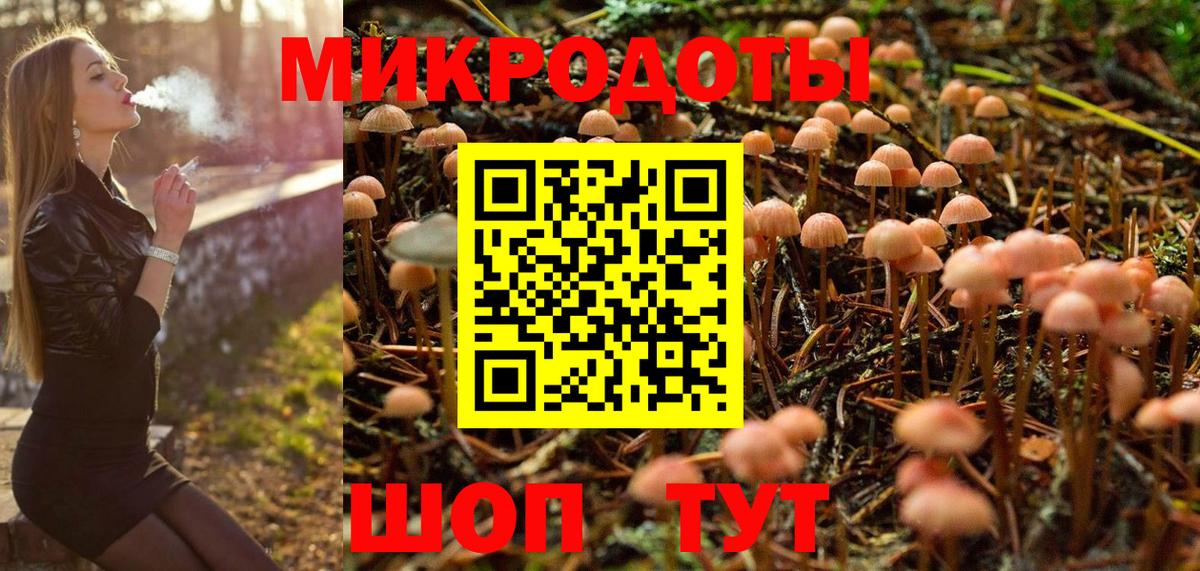 Псилоцибиновые грибы Cubensis Чапаевск