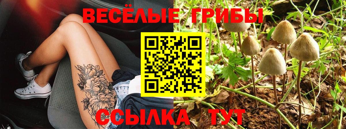Галлюциногенные грибы Magic Shrooms  Вход с VPN  Чапаевск 